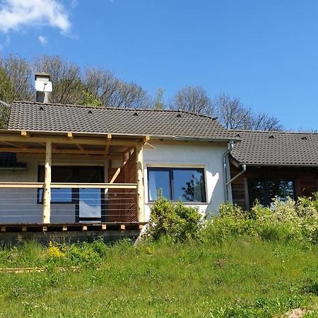 Apartman Nezichov Toužim 外观 照片