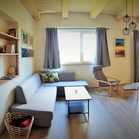 Apartman Nezichov Toužim 外观 照片