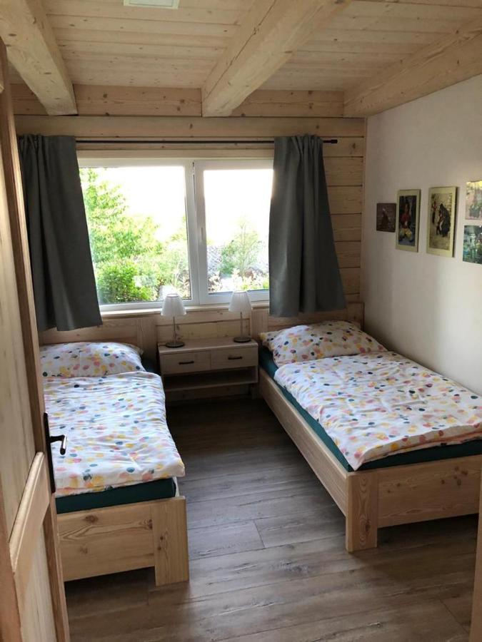 Apartman Nezichov Toužim 外观 照片